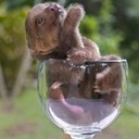 Michael Roman Josef - @baboux02 - Twitter