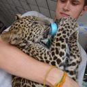 Sam Frazer - @SamFrazer2 - Twitter