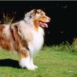 Pozdnyakovaa's profile picture. 