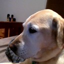 Declan George - @DeclanGeorge1 - Twitter