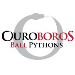 Dedicated to raising, breeding, selling and trading the highest quality ball pythons, in a wide variety of morphs.  Check our website for available animals!