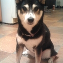 Cecilia Velez - @MsCeceVelez - Twitter