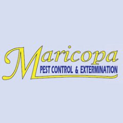 Pest Control and Extermination by Maricopa Pest Control.