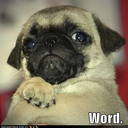 Jacob Berggren - @PrayB - Twitter