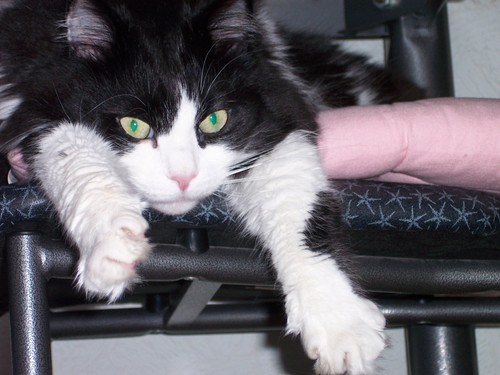 gribscoub's profile picture. 