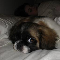 ssalariada's profile picture. Aos outros, dou o direito de ser como são. A mim, dou o dever de ser cada dia melhor.