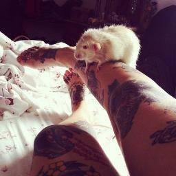 #FollowBack 
#фолловинг
• welcome to my world