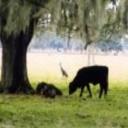 Shara Johnson - @SharaJohnson1 - Twitter