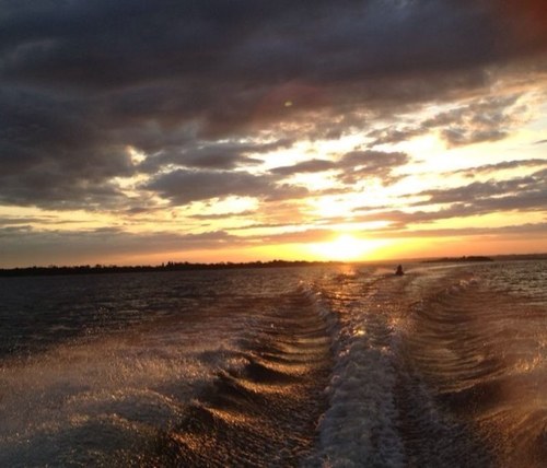 Joaquin29425319's profile picture. 