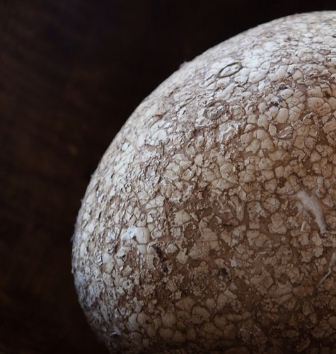 VFXPilot's profile picture. VFX, flying and a passing interest in Swift programming, finance, racing and some other oddities. Your political views are not mine. May have won an award once.