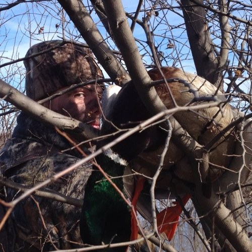 Goodman8Tyler's profile picture. 