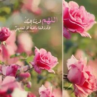 أم أسامة (@ummosama_h) 's Twitter Profile Photo أم أسامة (@ummosama_h) 's Twitter Profile Photo