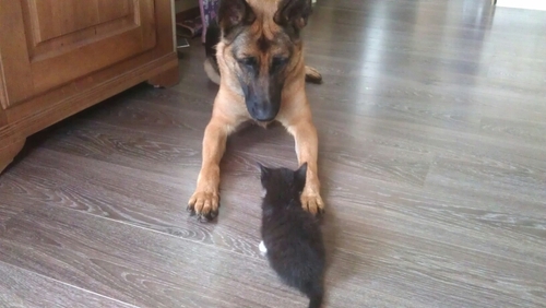 BareldsMichel's profile picture. 