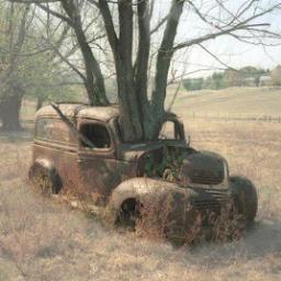 jdracos's profile picture. 