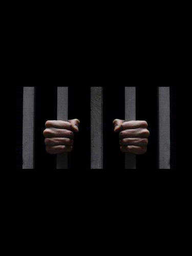 elang_orphant's profile picture. who am I.? is not important. want to know me.? add my PIN 282412b5