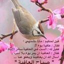 سلطان الغريب (@00958S0s00) Twitter
