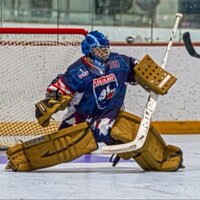 Nick Gullo (@ngullo39) 's Twitter Profile