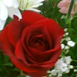 b_val's profile picture. 