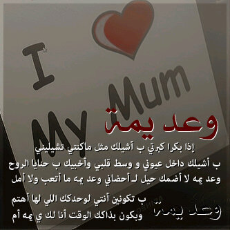 8Oωh ♡
