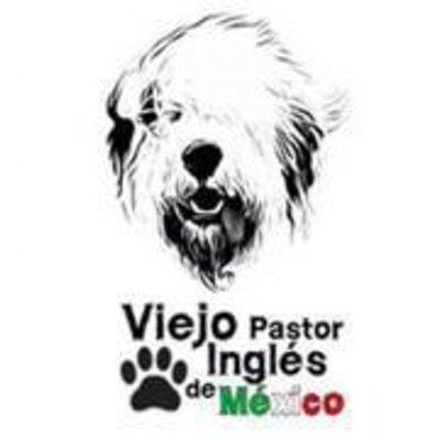 Viejo Pastor Ingles (@VPIMexico) / X