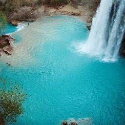 TimeshareGetOut's profile picture. 