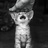AnimalHelpTwitt's profile image