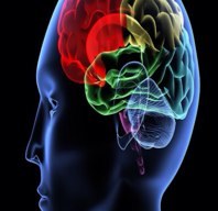 rudolf872's profile picture. 