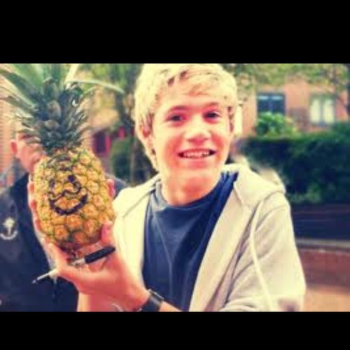 I love one direction i am a.niall girl i love sailor moon and kingdom hearts also final fantasy and square enix