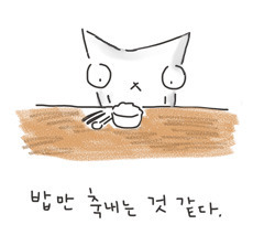 Umusin1's profile picture. 룰루..