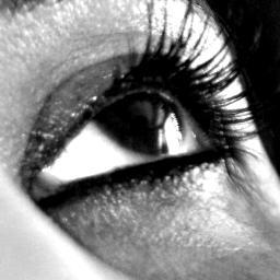 Designandmake's profile picture. Artist/Designer/Entrepreneur
An All - Round Creative Type Who Likes To Work
In All Mediums And Is Interested In Everything.