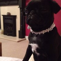 Mandy Brazier (@mandybrazier68) 's Twitter Profile