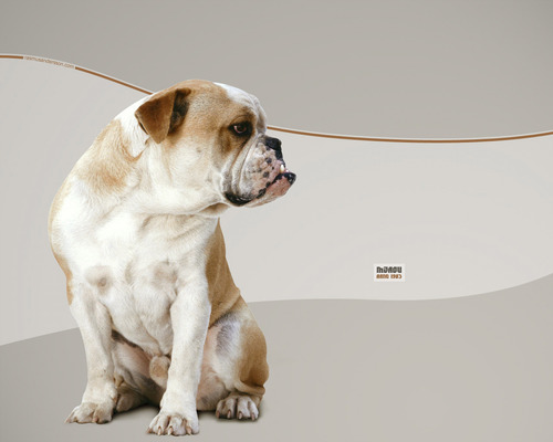 slava65200791's profile picture. 