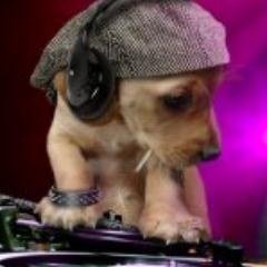 Iam a dj/intrantional consulting and and artist, love exteme sports ,travelling ,good food.and woman of ethic background with great singing voices.