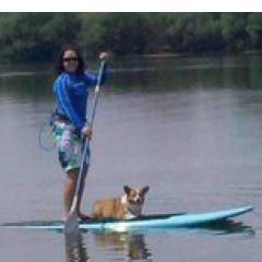 Always up for traveling & StandUpPaddling (SUP) - the greenest, greatest way to see 10K lakes. Grab a board! (Views are my own ≠ endorsement)