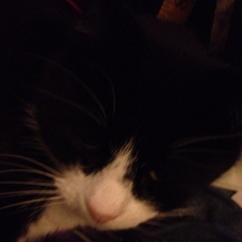 avaessen0401's profile picture. 