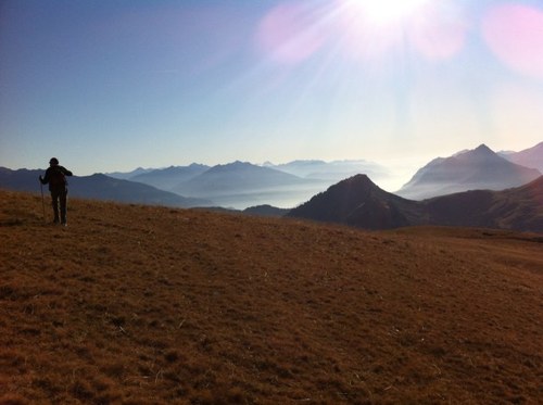 v_saintclair's profile picture. 