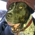 Gary Morgan (@moggy67) Twitter profile photo
