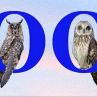 Two Owls Birding (@twoowlsbirding) 's Twitter Profile Photo Two Owls Birding (@twoowlsbirding) 's Twitter Profile Photo