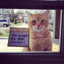 Basil Frank - @bfrank9701 - Twitter