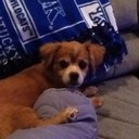 Tammy Neeley - @tsneeley - Twitter