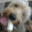 Jayne Hammond - @HammondJayne - Twitter