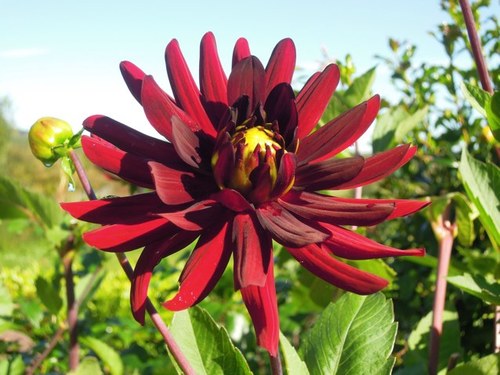 jackied48's profile picture. 