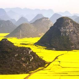 SkySoulYouTube's profile picture. 