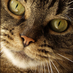 Norfolk SPCA (@norfolkspca) Twitter profile photo Norfolk SPCA (@norfolkspca) Twitter profile photo