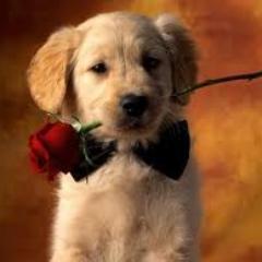 Muitas pessoas dizem q amam...Poucas pessoas sabem amar....Amar é uma palavra curta..mas um sentimento eterno!!!!!