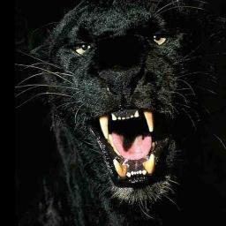 We are Anonymous.
We are Legion.
We do not forgive.
We do not forget.
Expect us.