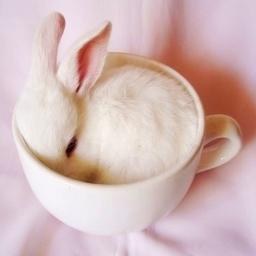 Hope you have a lovely day! ♥