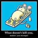 rowan porter - @r0wanp0 - Twitter