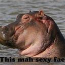 Nicole Wilhelm  - @wilhelmine1985 - Twitter