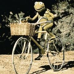 En este mundo cada quién tiene su pequeña o gran preocupación.